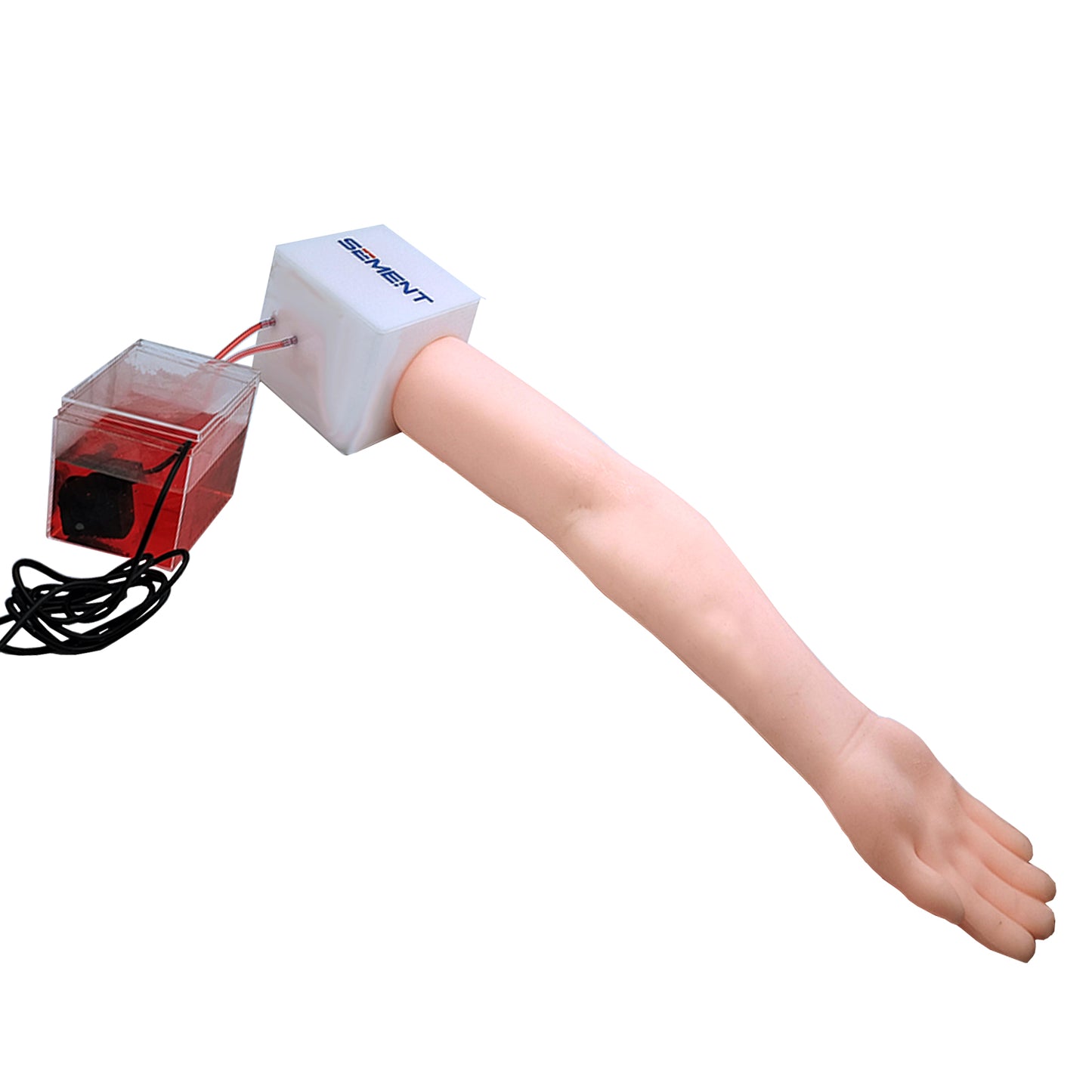 SZEMENTMD Ultrasound Guided Simulation Arm Vascular Puncture Phantom