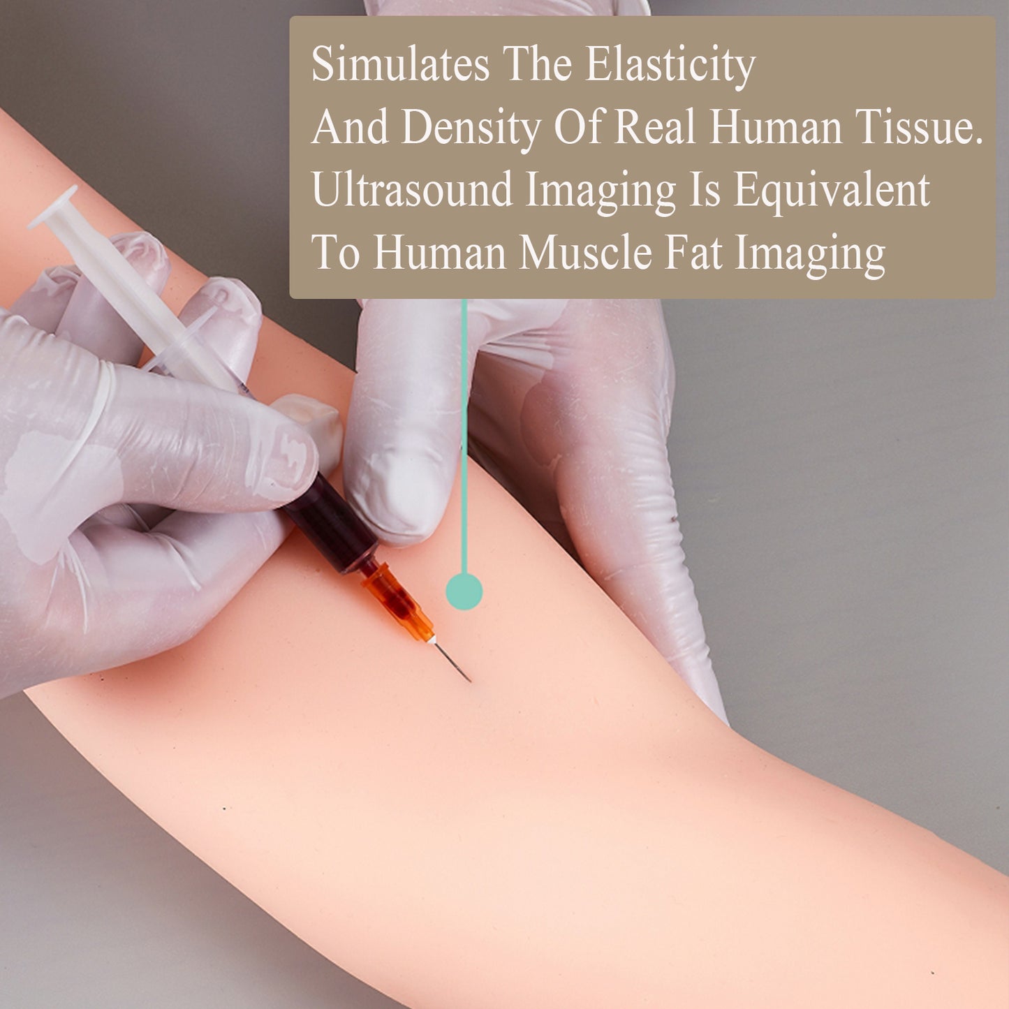 SZEMENTMD Ultrasound Guided Simulation Arm Vascular Puncture Phantom