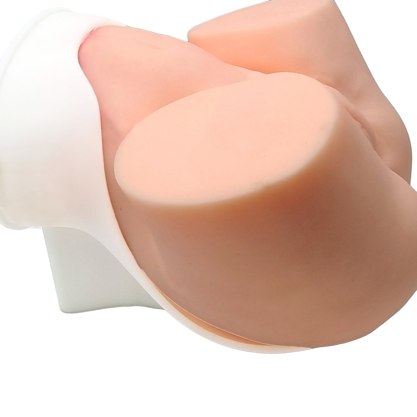 SZEMENTMD Uterine Occlusion Model, Uterine Occlusion Model is an Innovation in Gynecological Training and Research