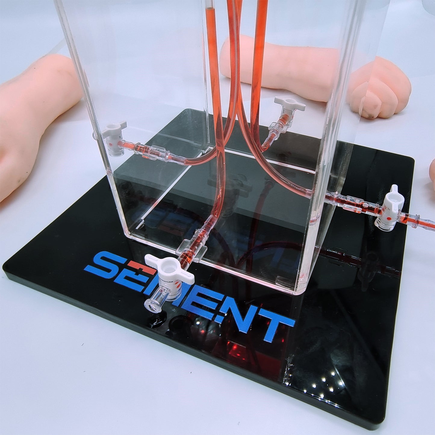 SZEMENTMD Advanced Medical Simulation Palms