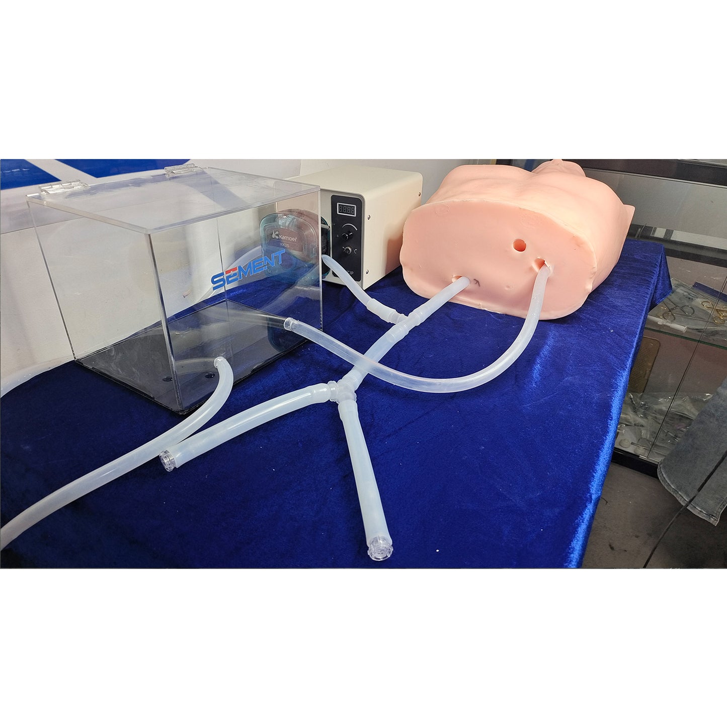 SZEMENTMD Heart Model, Simulating The Internal Integration Of The Human Torso, And Fully Functional Heart Model With Realistic Blood Pressure Simulator For Comprehensive Cardiovascular Education