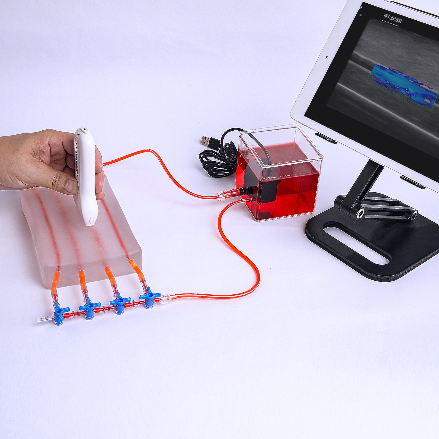 SZEMENTMD Transparent Ultrasound Puncture of the Blood Circulation (2 Individual of Sale)