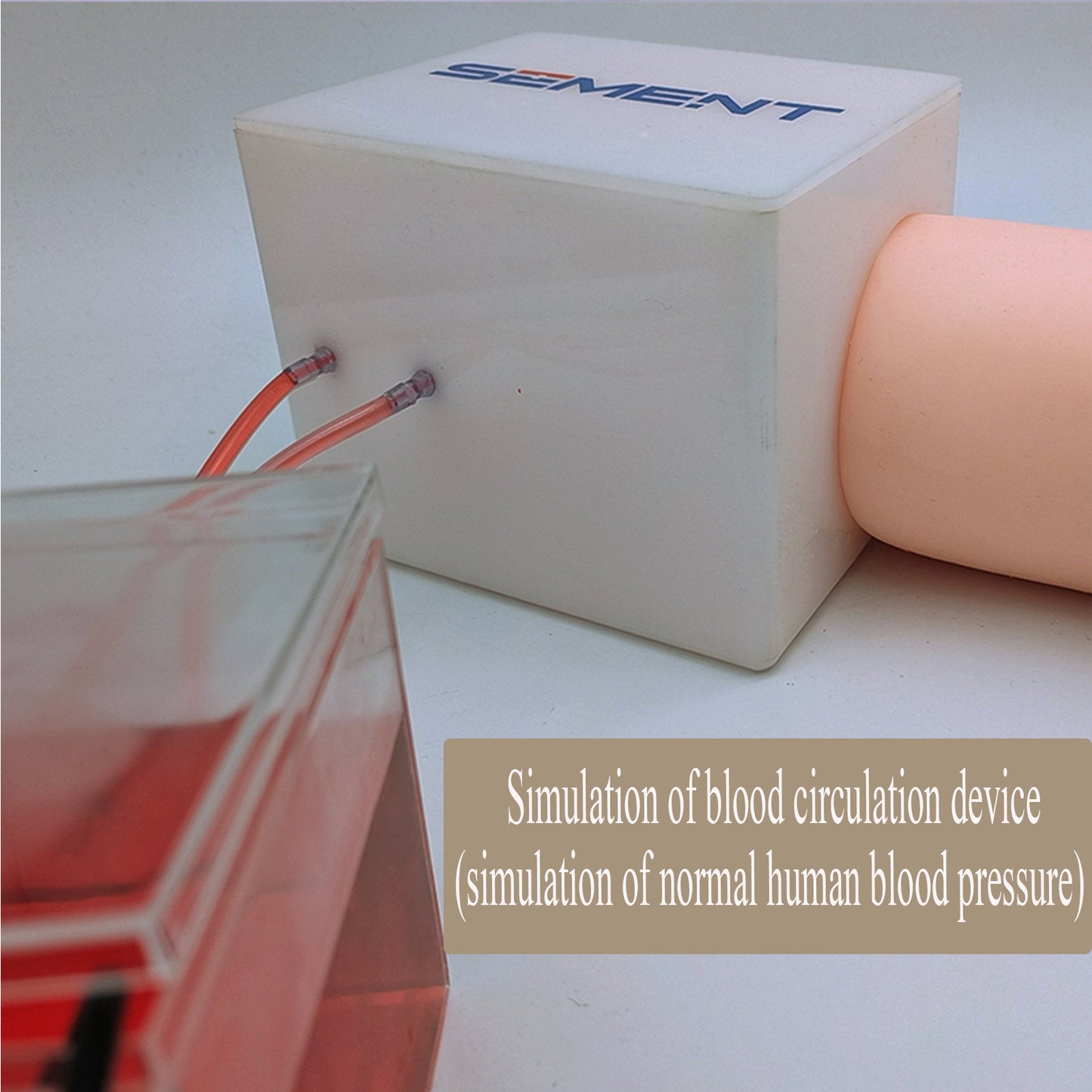 SZEMENTMD Ultrasound Guided Simulation Arm Vascular Puncture Phantom