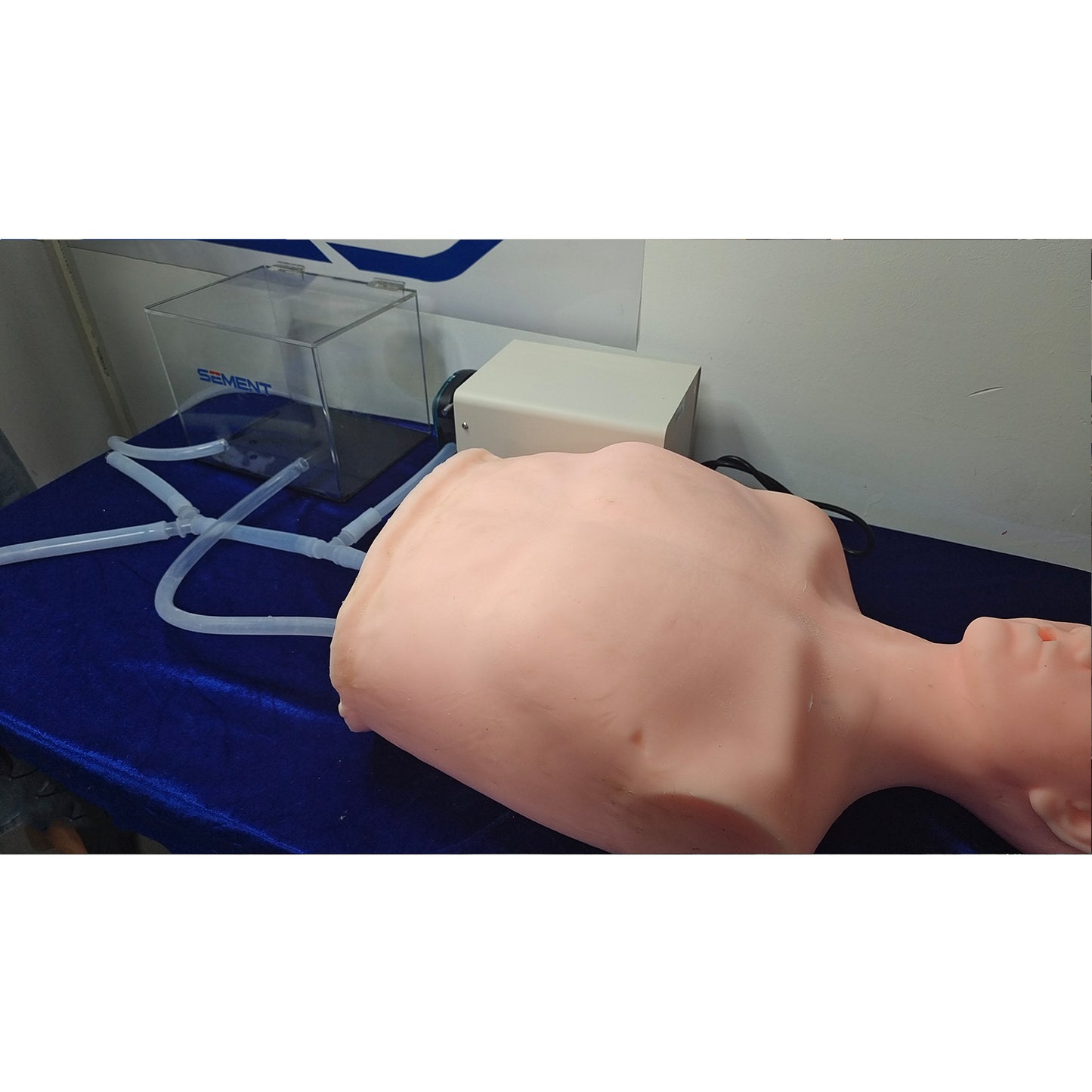 SZEMENTMD Heart Model, Simulating The Internal Integration Of The Human Torso, And Fully Functional Heart Model With Realistic Blood Pressure Simulator For Comprehensive Cardiovascular Education