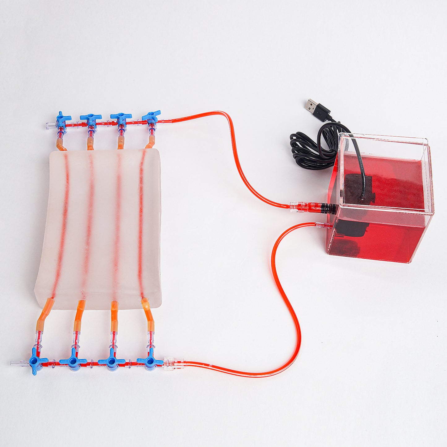 SZEMENTMD Transparent Ultrasound Puncture of the Blood Circulation (2 Individual of Sale)