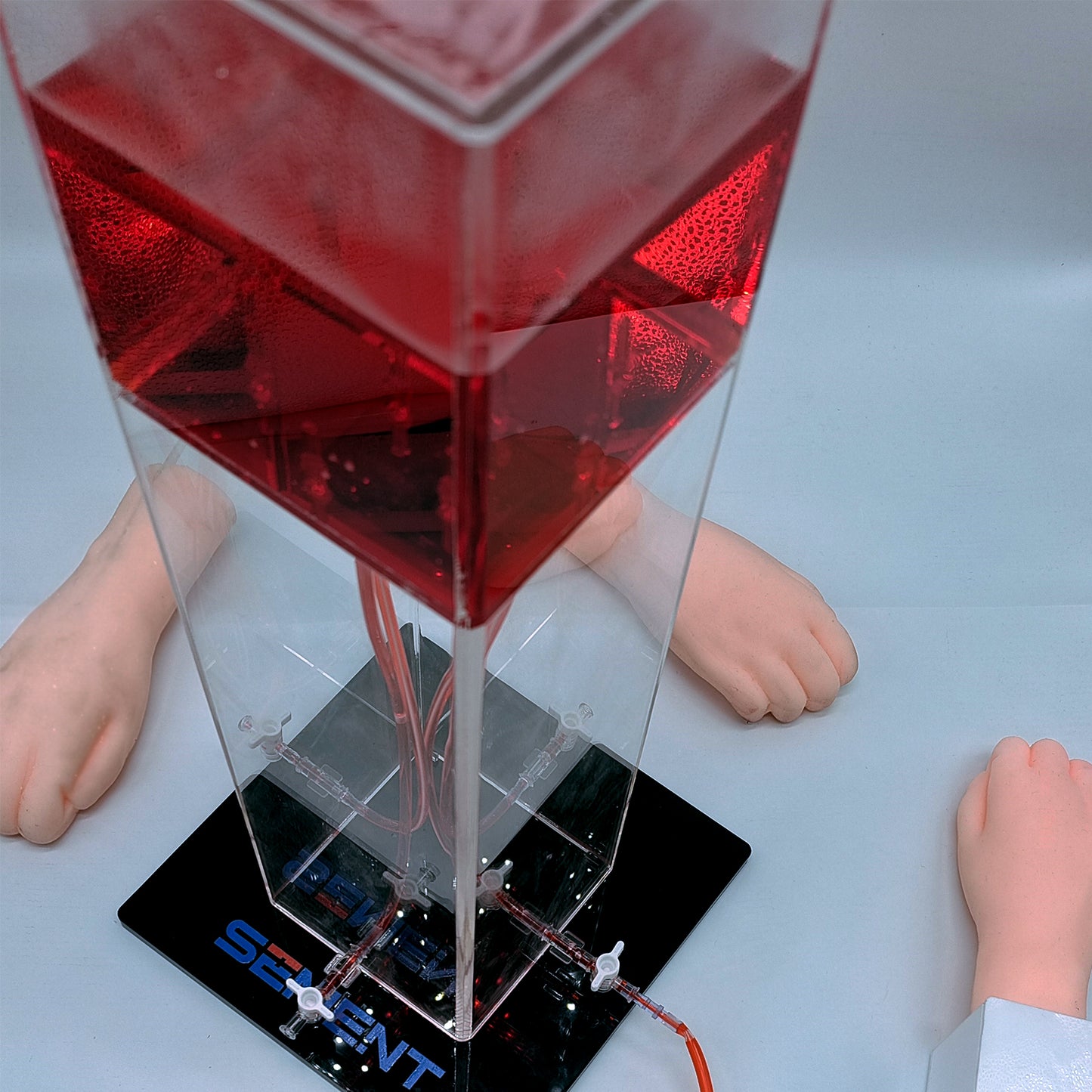 SZEMENTMD Advanced Medical Simulation Palms