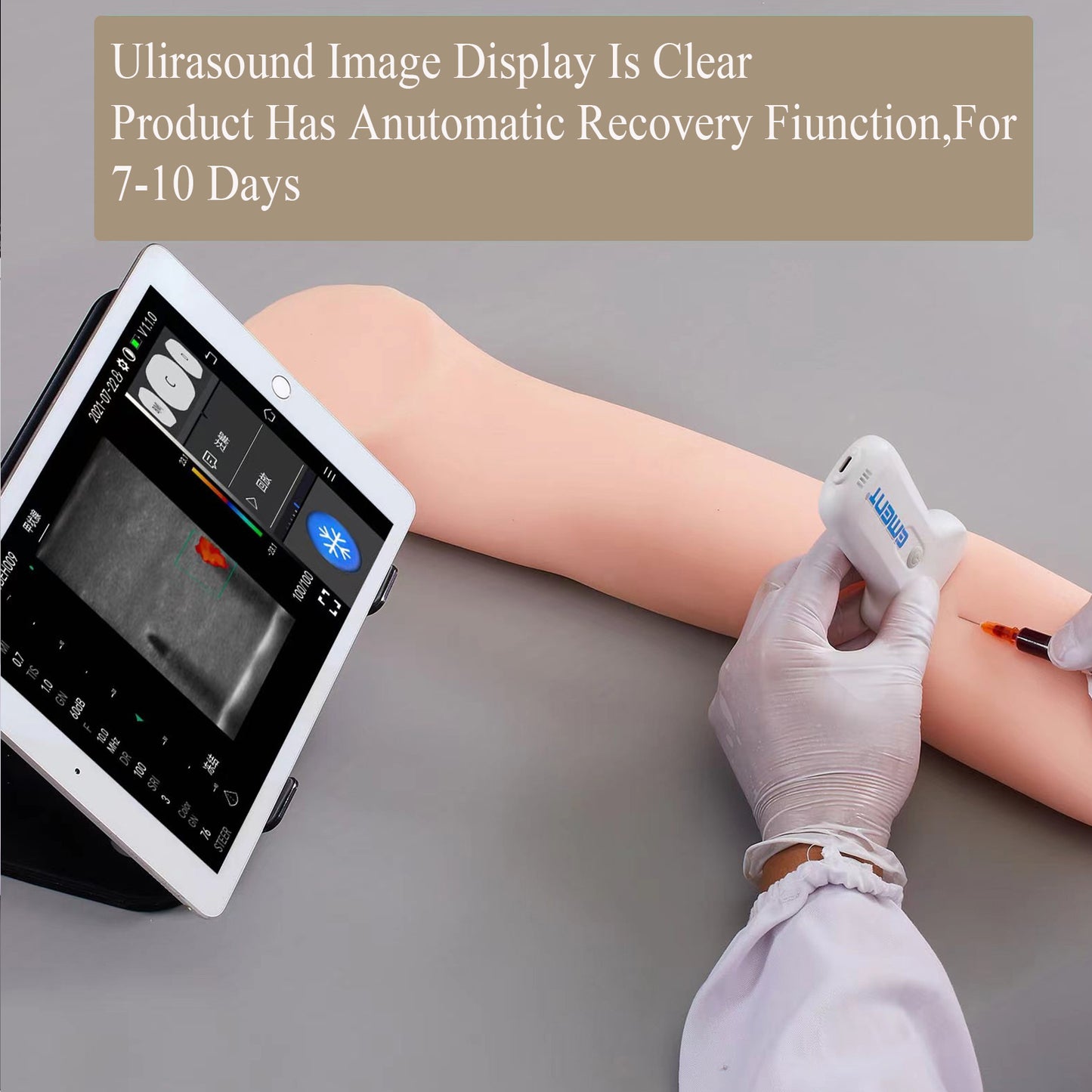 SZEMENTMD Ultrasound Guided Simulation Arm Vascular Puncture Phantom