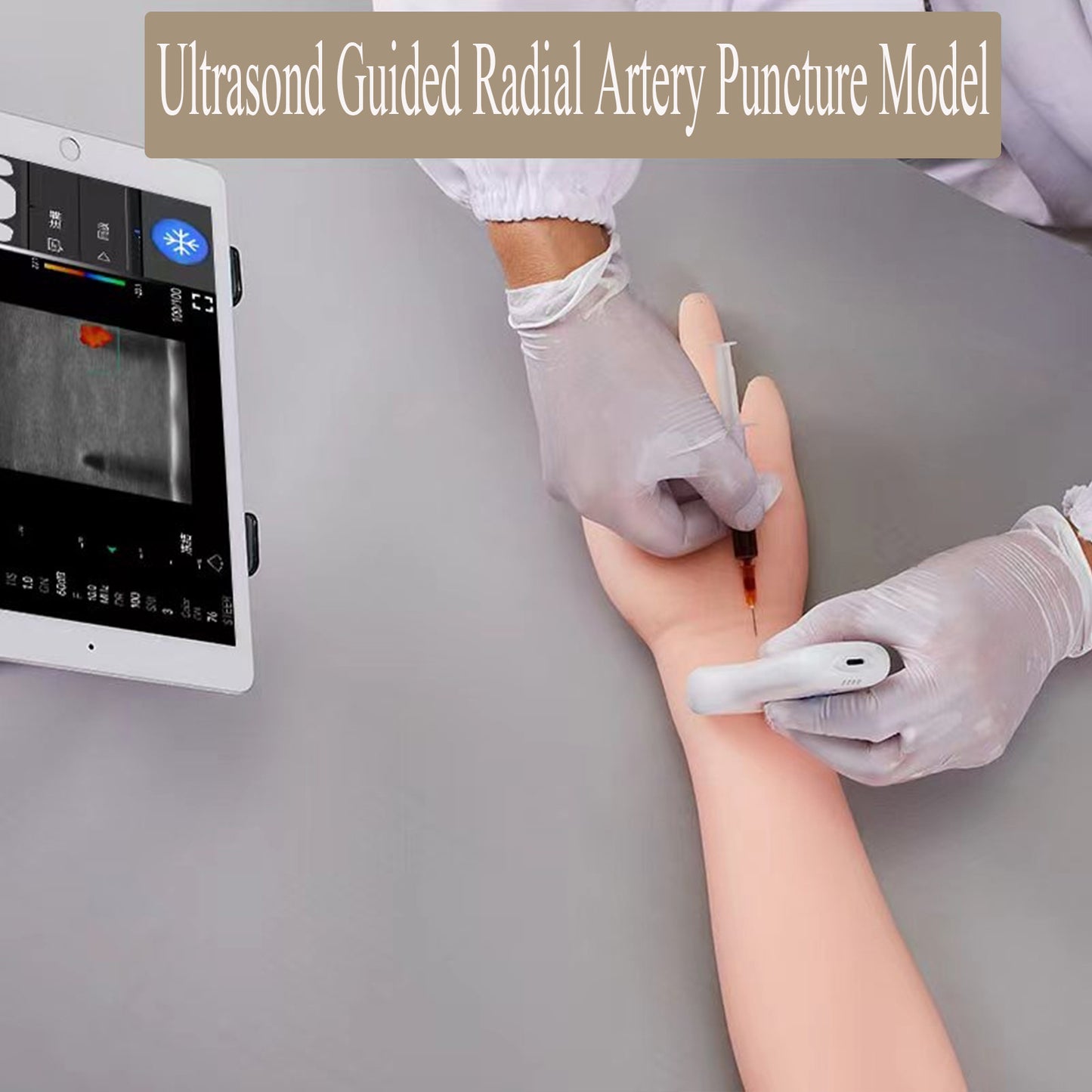 SZEMENTMD Ultrasound Guided Simulation Arm Vascular Puncture Phantom