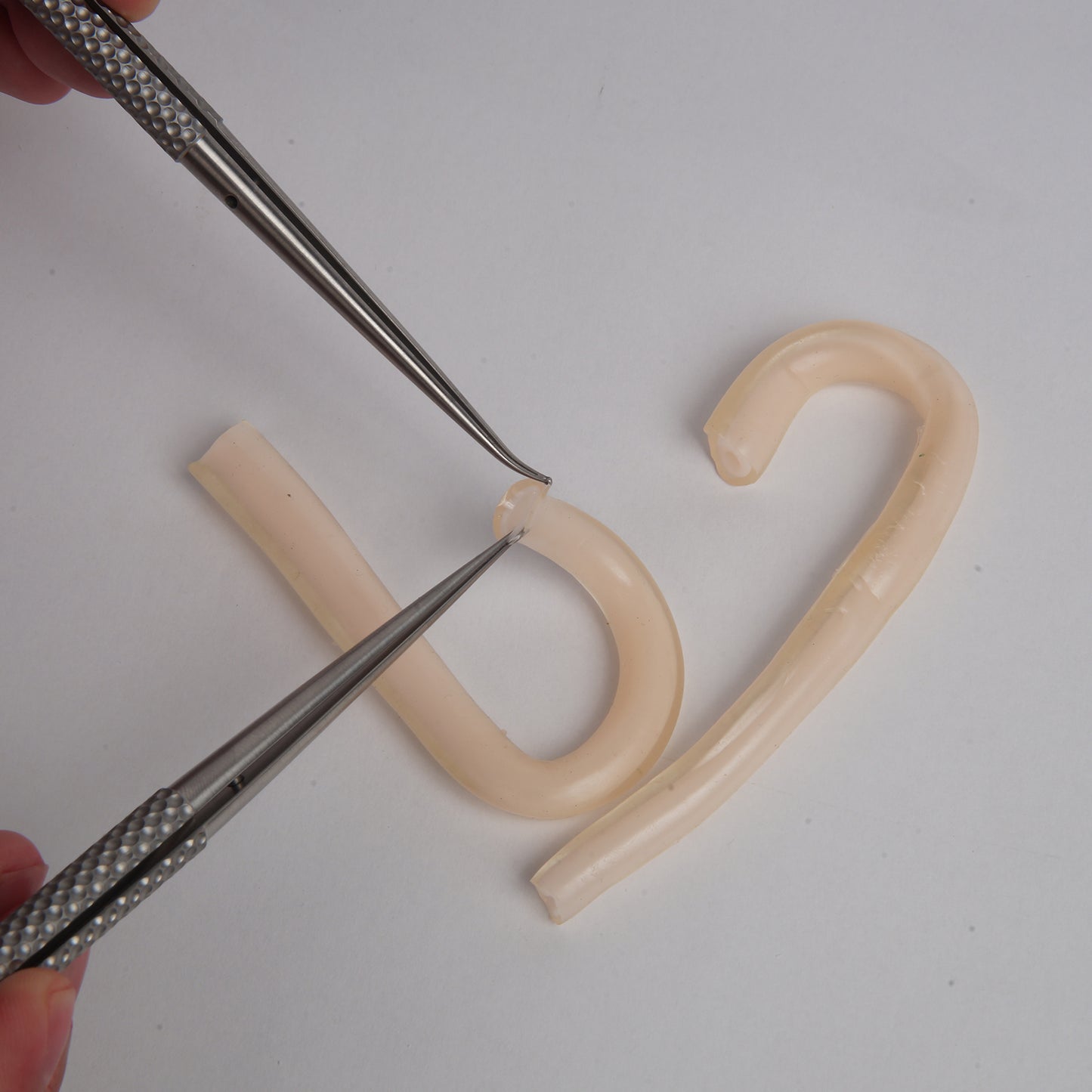SZEMENTMD Medical Double-Layer Vascular Model