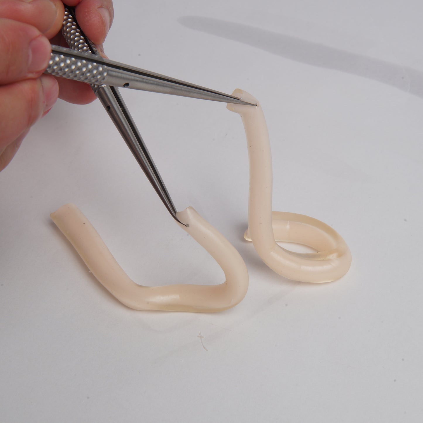 SZEMENTMD Medical Double-Layer Vascular Model