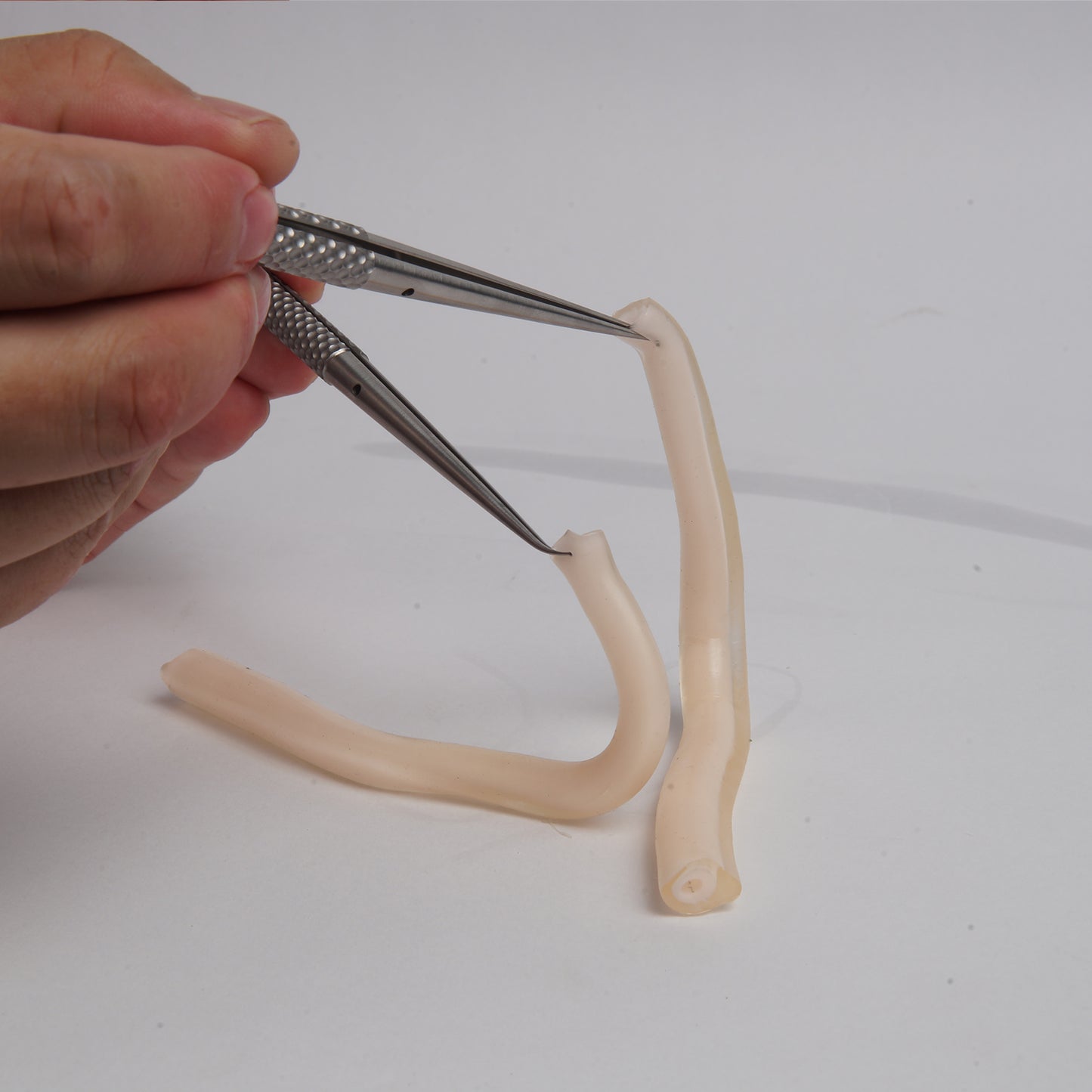 SZEMENTMD Medical Double-Layer Vascular Model