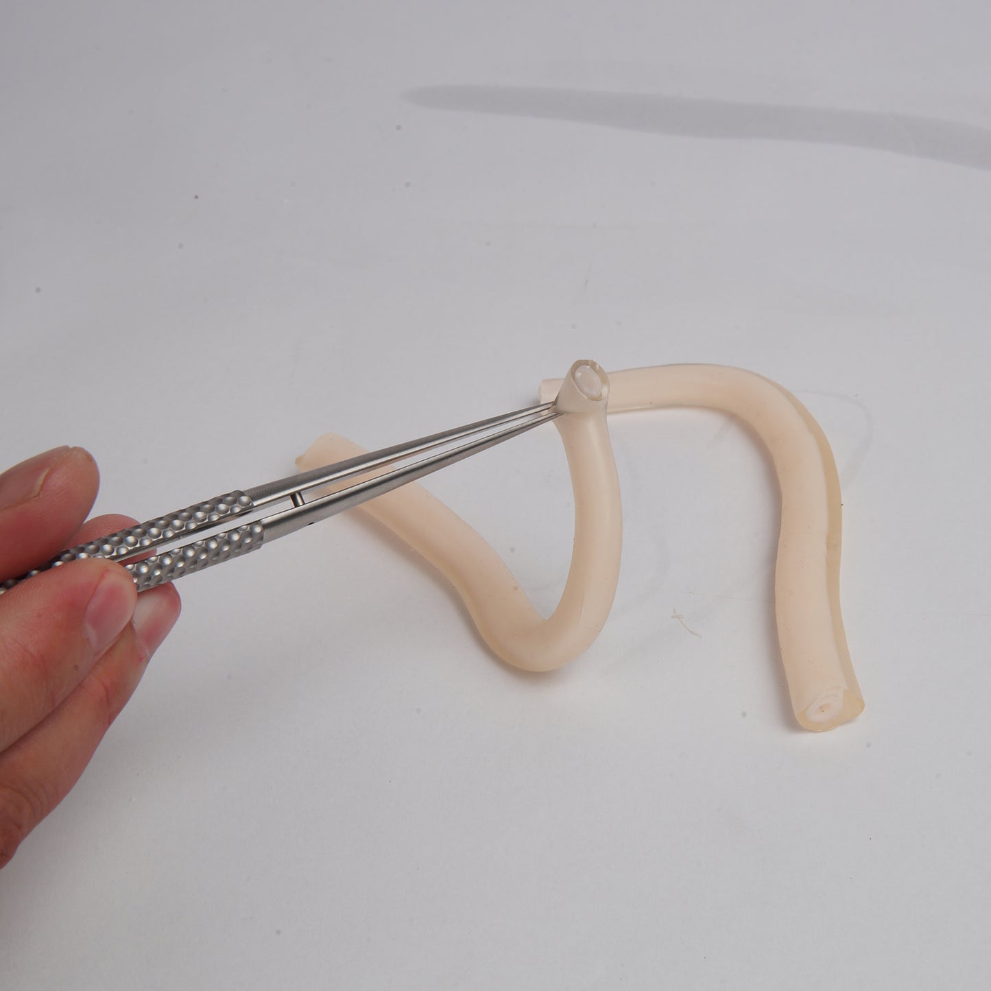 SZEMENTMD Medical Double-Layer Vascular Model