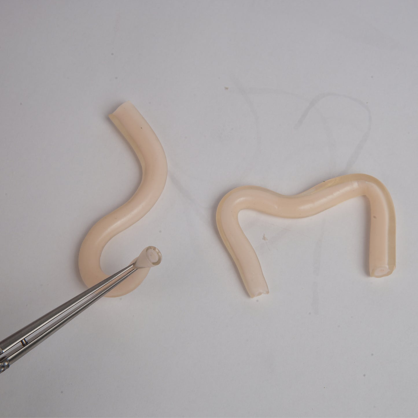 SZEMENTMD Medical Double-Layer Vascular Model
