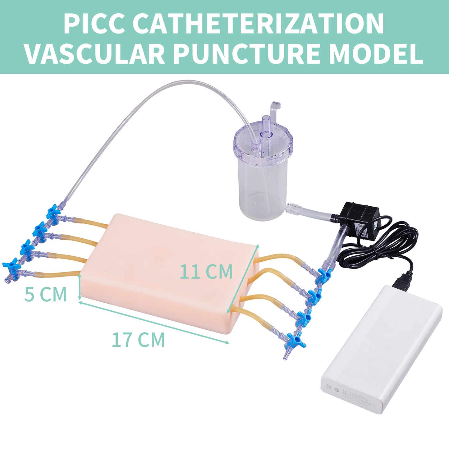 SZEMENTMD PICC Catheterization Vascular Puncture Model EMM-VA