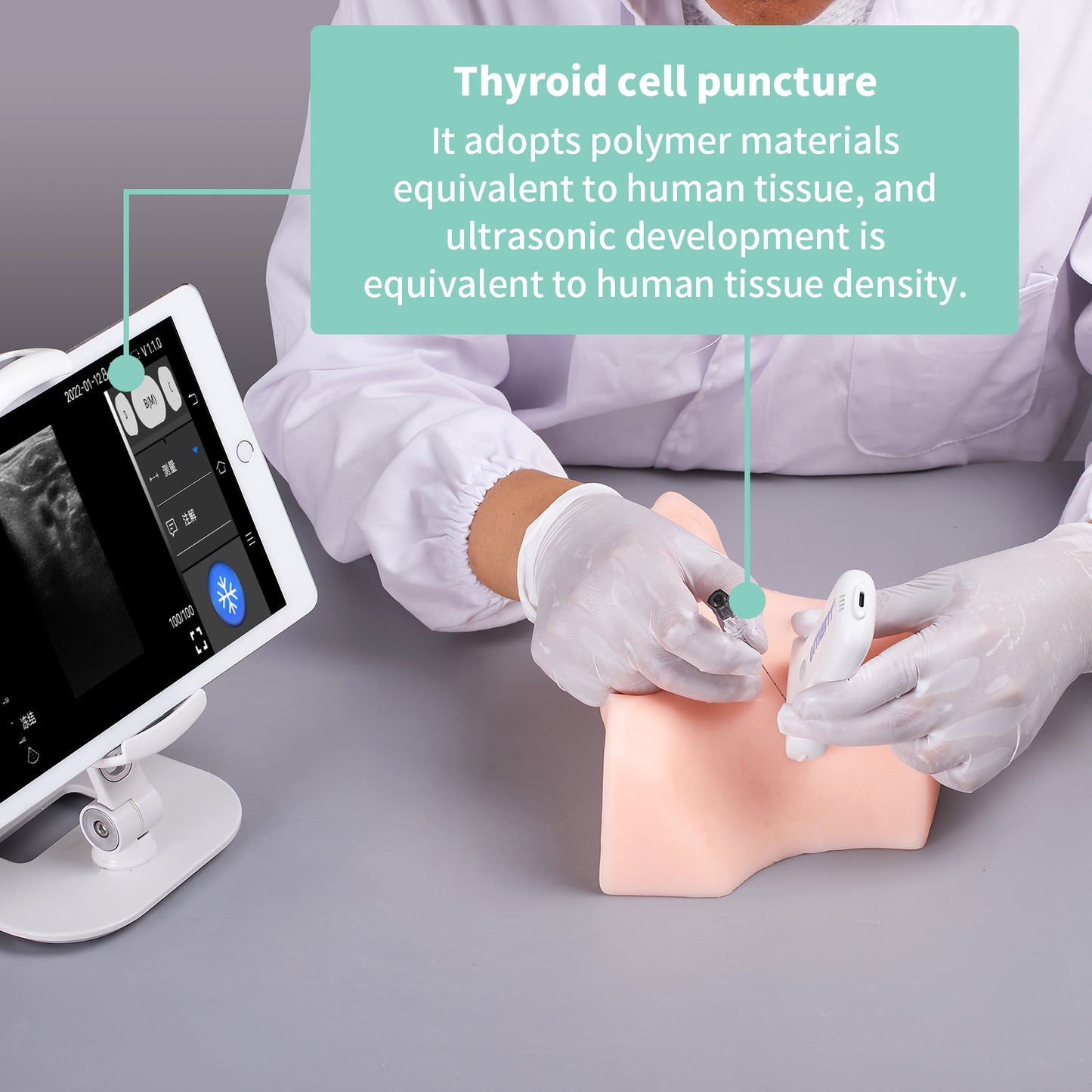SZEMENTMD Thyroid Ultrasound Puncture Model EMM-JB