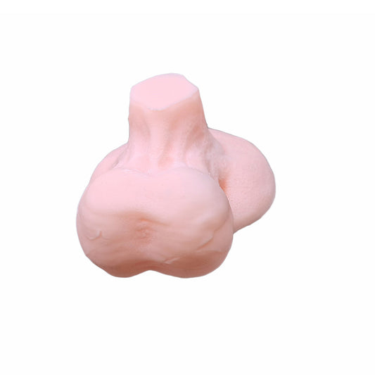 Ultrasound-Guided Testicular Biopsy Model