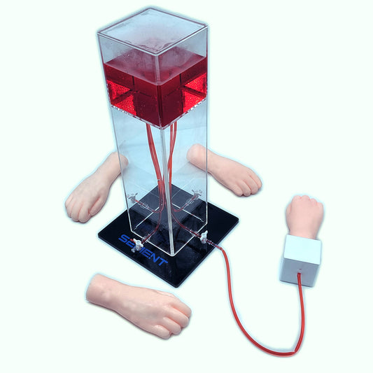 SZEMENTMD Advanced Medical Simulation Palms