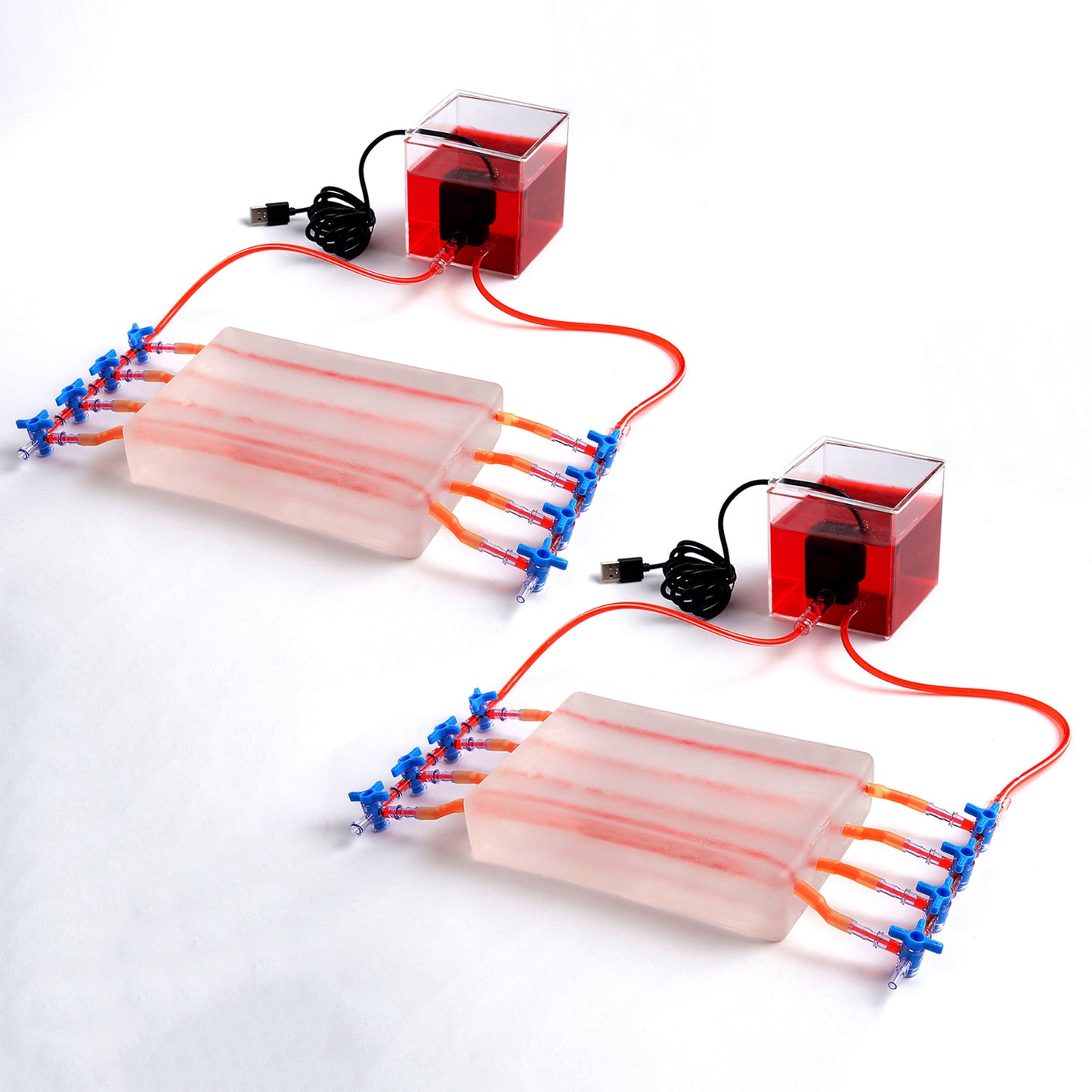 SZEMENTMD Transparent Ultrasound Puncture of the Blood Circulation (2 Individual of Sale)