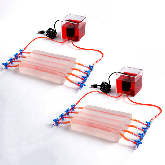 SZEMENTMD Transparent Ultrasound Puncture of the Blood Circulation (2 Individual of Sale)