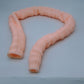 SZEMENTMD Large Intestine Model, Simulation Degree Up To 95% Large Intestine Model
