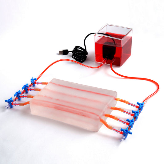 SZEMENTMD Transparent Ultrasound Puncture of the Blood Circulation (2 Individual of Sale)