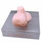 Ultrasound-Guided Testicular Biopsy Model