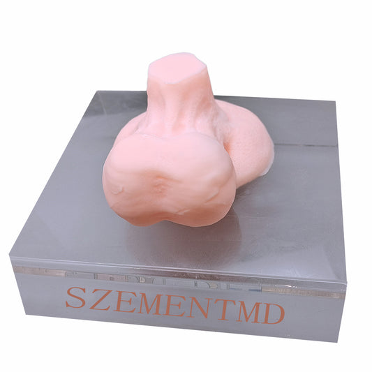 Ultrasound-Guided Testicular Biopsy Model