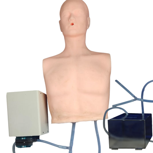 SZEMENTMD Heart Model, Simulating The Internal Integration Of The Human Torso, And Fully Functional Heart Model With Realistic Blood Pressure Simulator For Comprehensive Cardiovascular Education