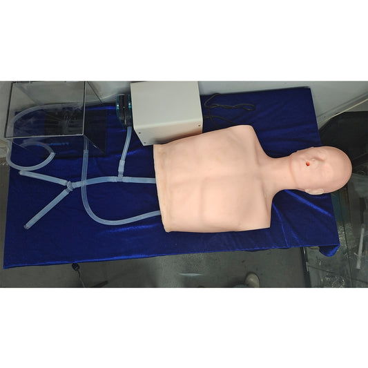 SZEMENTMD Heart Model, Simulating The Internal Integration Of The Human Torso, And Fully Functional Heart Model With Realistic Blood Pressure Simulator For Comprehensive Cardiovascular Education