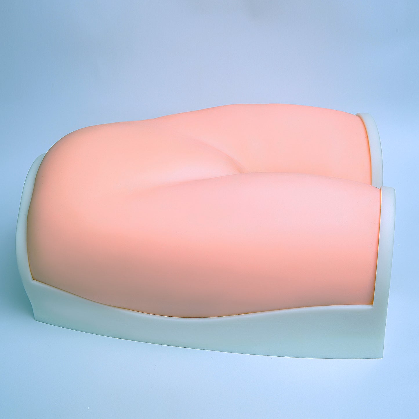 SZEMENTMD Ultrasound Maternity Model, Early Pregnancy (3 Months)