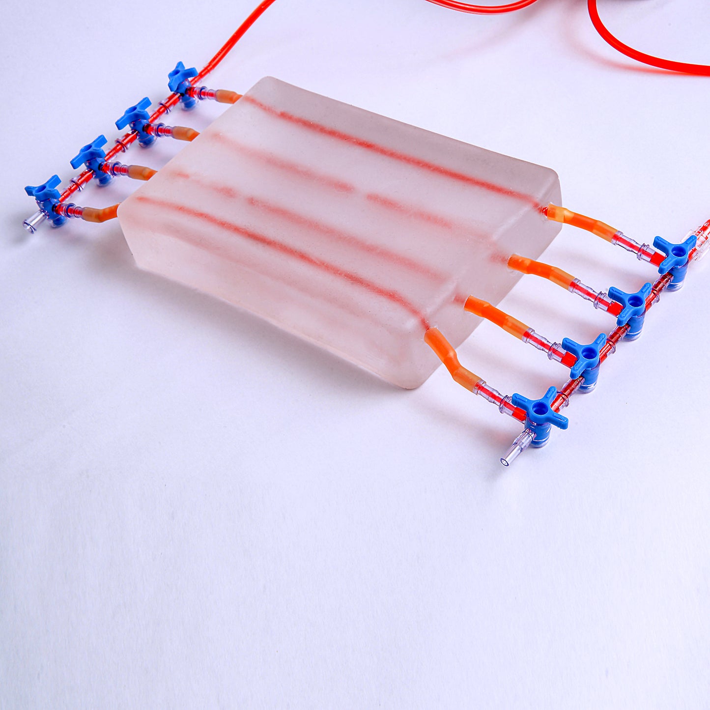 SZEMENTMD Transparent Ultrasound Puncture of the Blood Circulation (2 Individual of Sale)