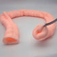 SZEMENTMD Large Intestine Model, Simulation Degree Up To 95% Large Intestine Model