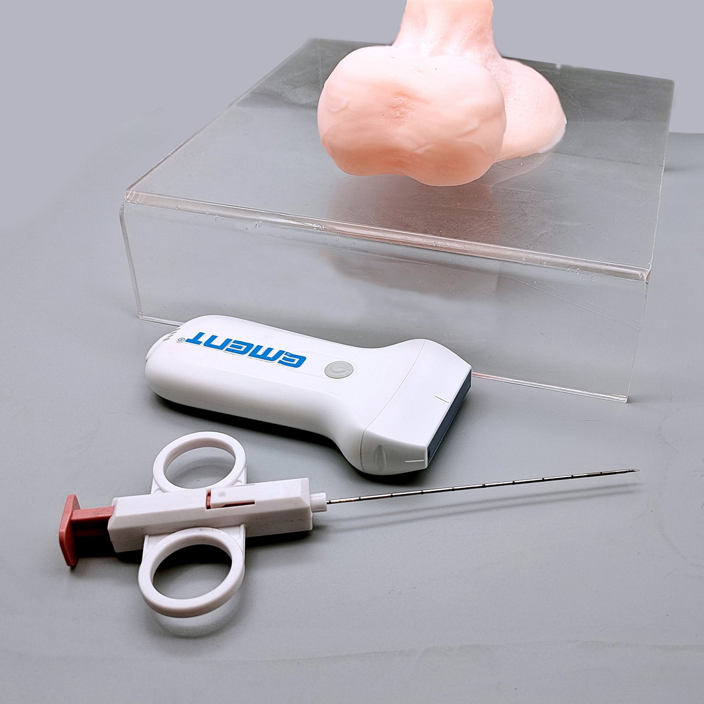 Ultrasound-Guided Testicular Biopsy Model