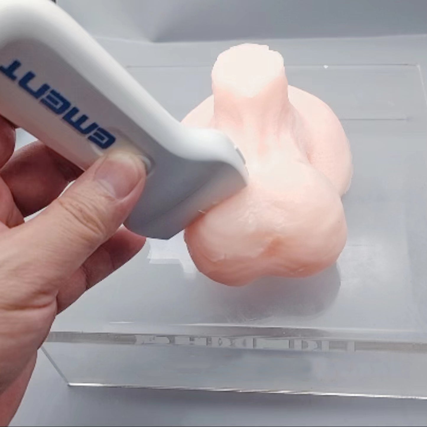 Ultrasound-Guided Testicular Biopsy Model