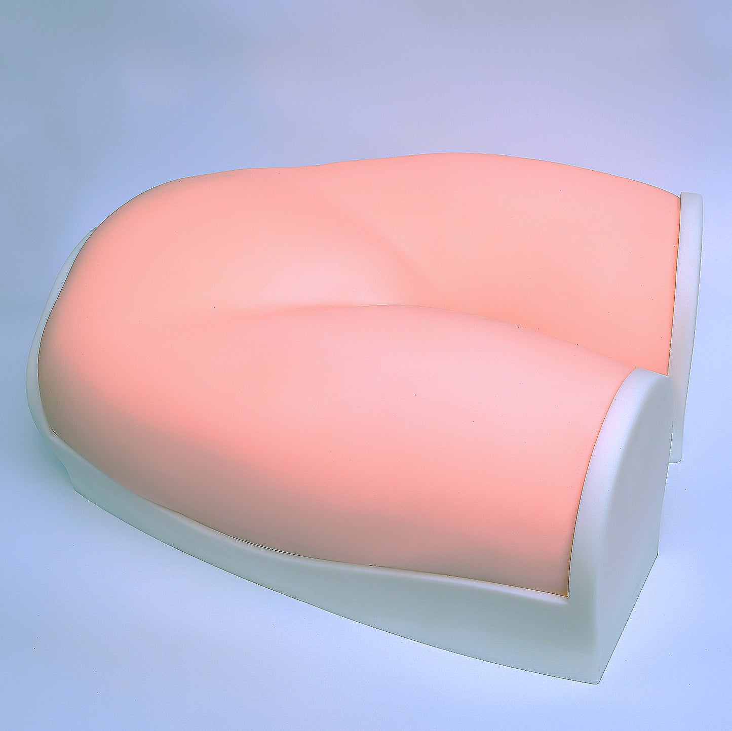 SZEMENTMD Ultrasound Maternity Model, Early Pregnancy (3 Months)
