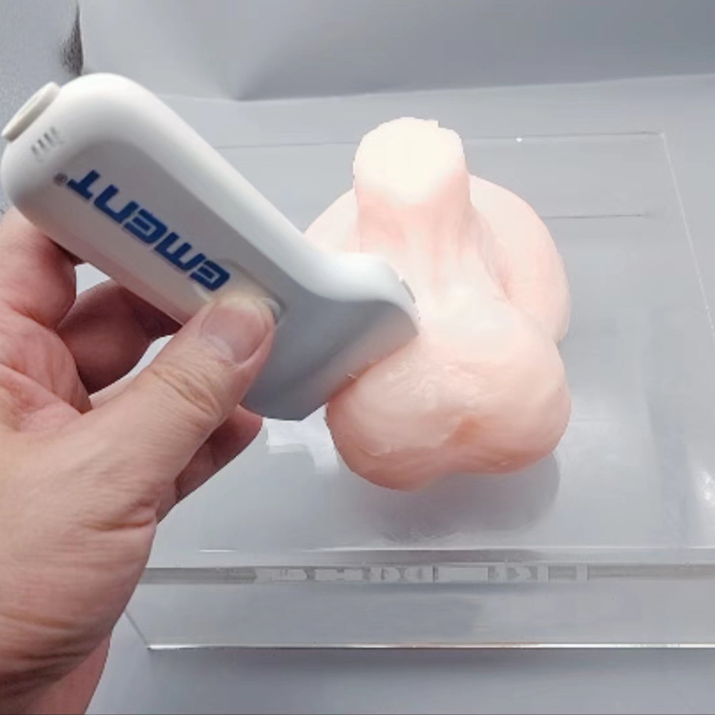 Ultrasound-Guided Testicular Biopsy Model