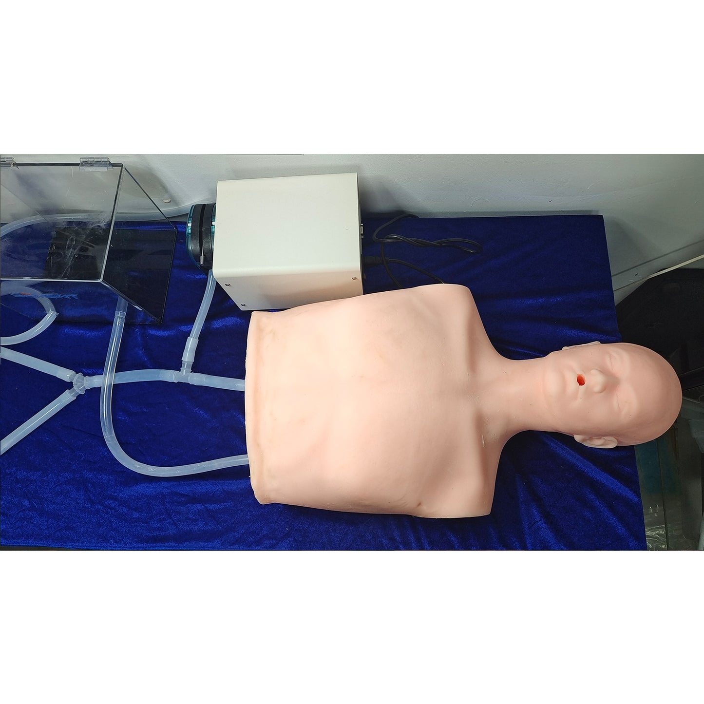 SZEMENTMD Heart Model, Simulating The Internal Integration Of The Human Torso, And Fully Functional Heart Model With Realistic Blood Pressure Simulator For Comprehensive Cardiovascular Education