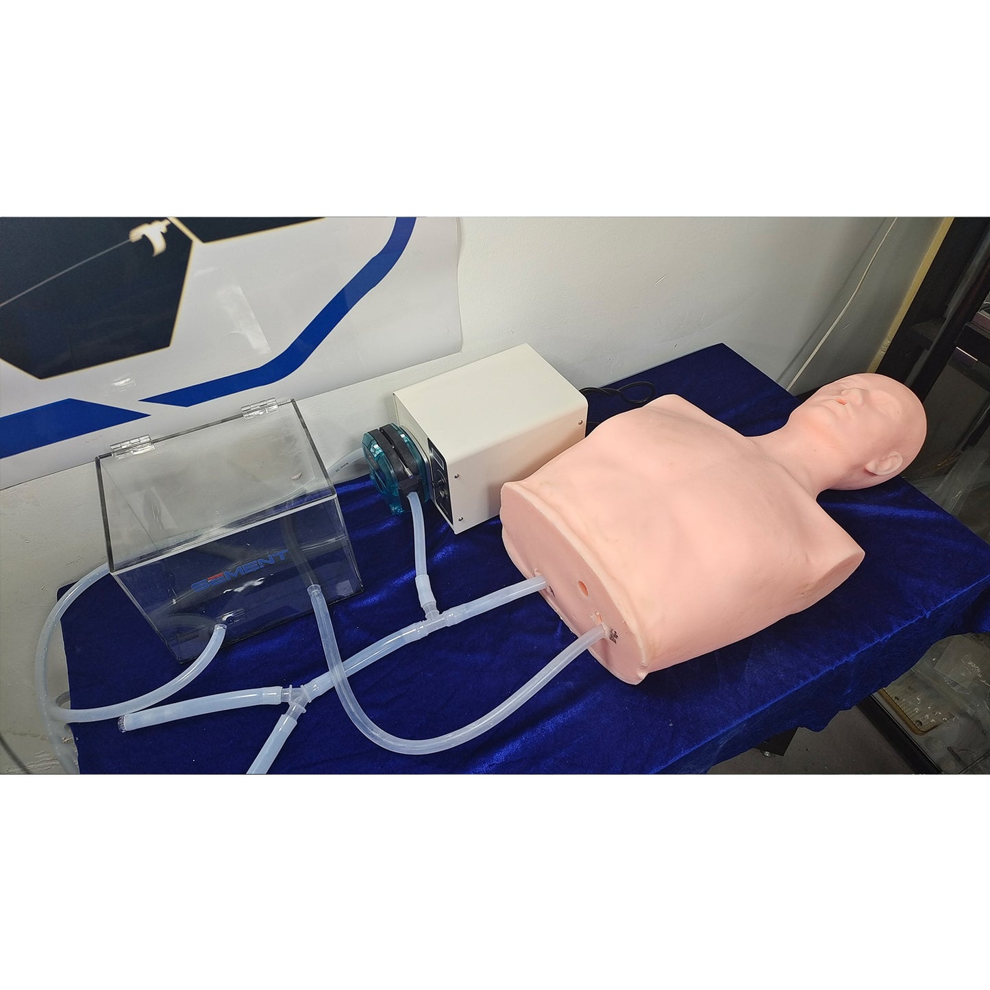 SZEMENTMD Heart Model, Simulating The Internal Integration Of The Human Torso, And Fully Functional Heart Model With Realistic Blood Pressure Simulator For Comprehensive Cardiovascular Education
