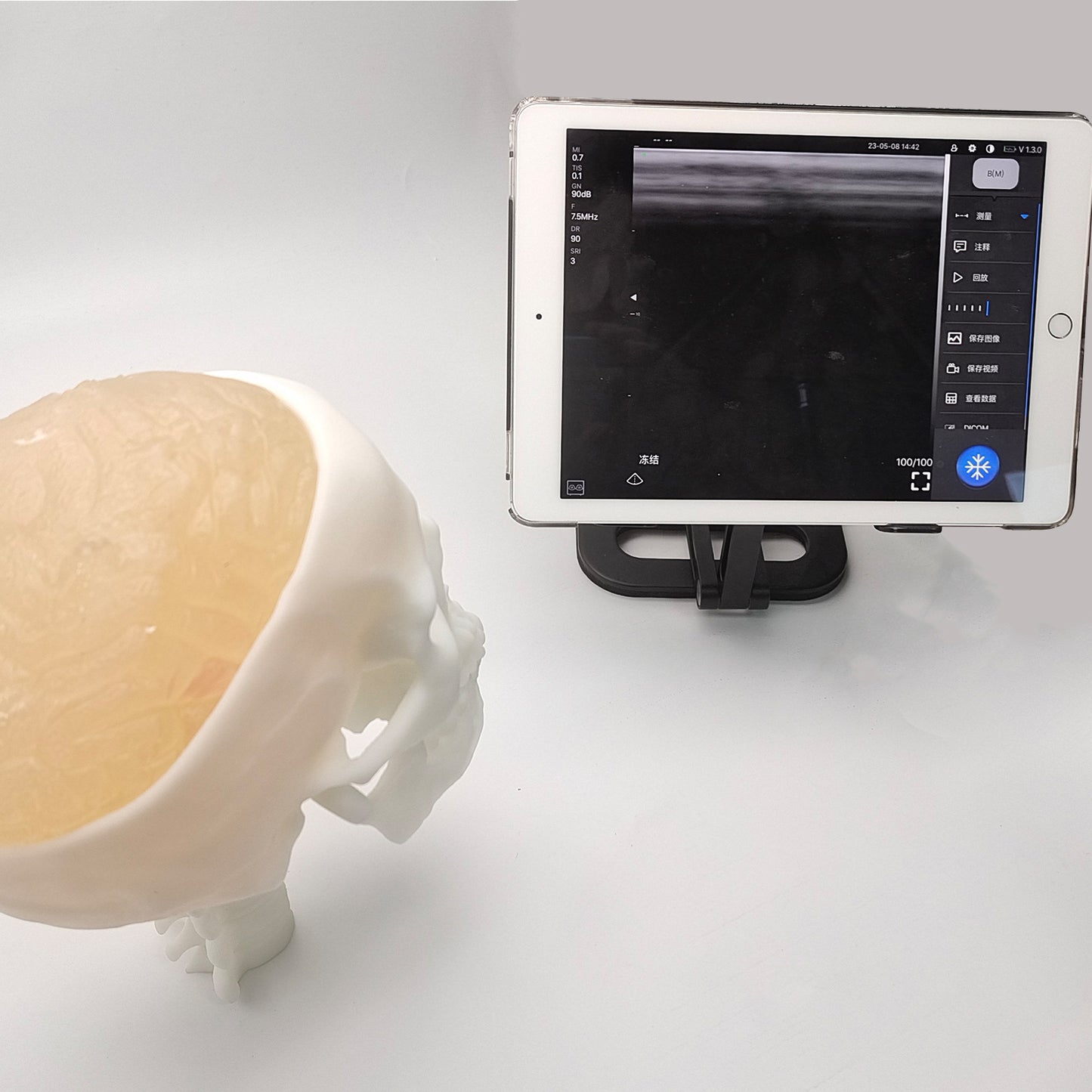 Ultrasonic Puncture Skull Cerebrum Model, Simulated Ultrasound Skull Cerebrum Exploration