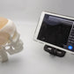 Ultrasonic Puncture Skull Cerebrum Model, Simulated Ultrasound Skull Cerebrum Exploration