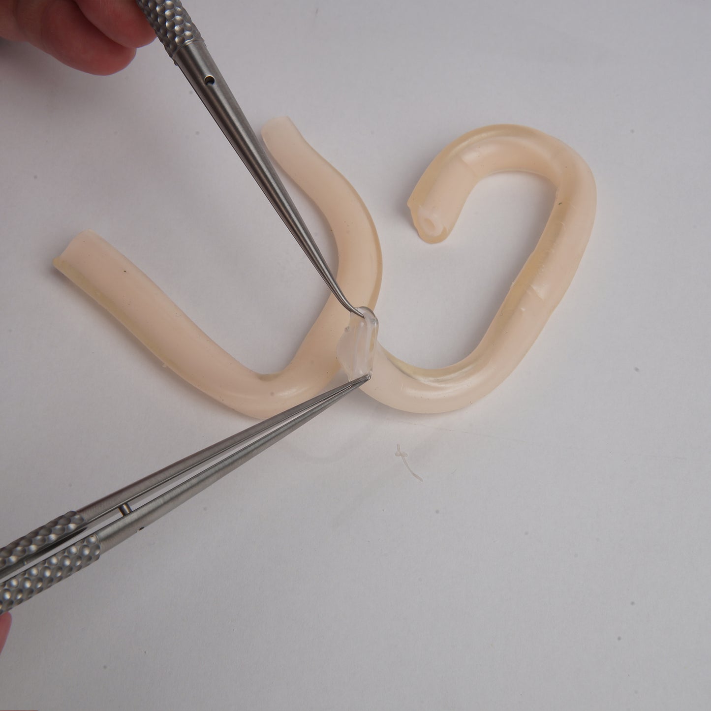SZEMENTMD Medical Double-Layer Vascular Model