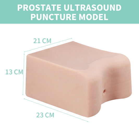 SZEMENTMD Prostate ultrasound puncture model EMM-QA