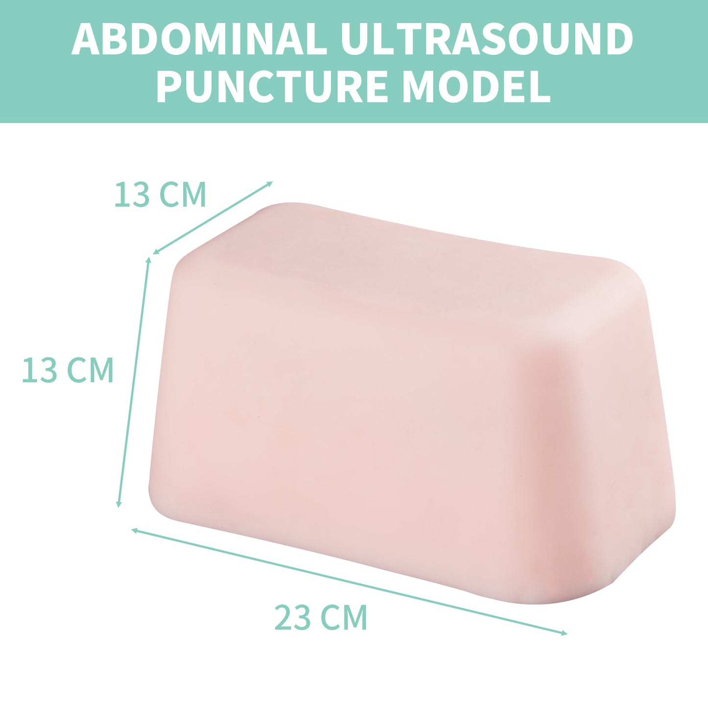 SZEMENTMD Abdominal Ultrasound Puncture Model EMM-FA1