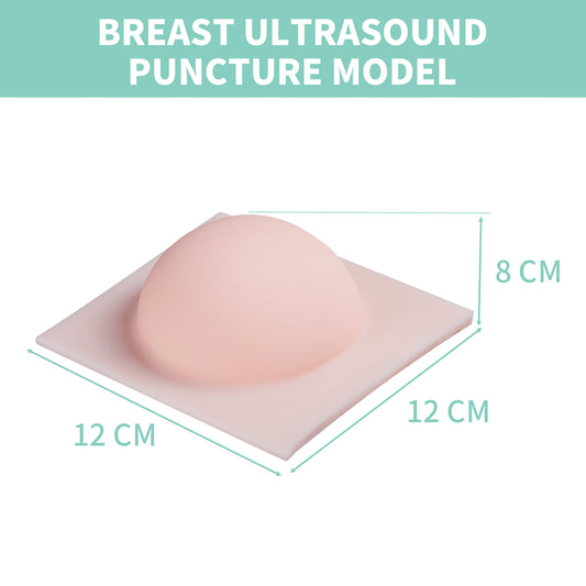 SZEMENTMD Breast Ultrasound Puncture Model