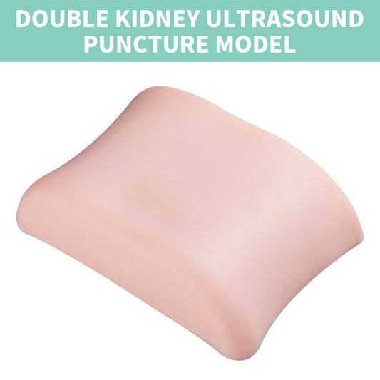 SZEMENTMD The kidney ultrasound puncture model EMM-KA