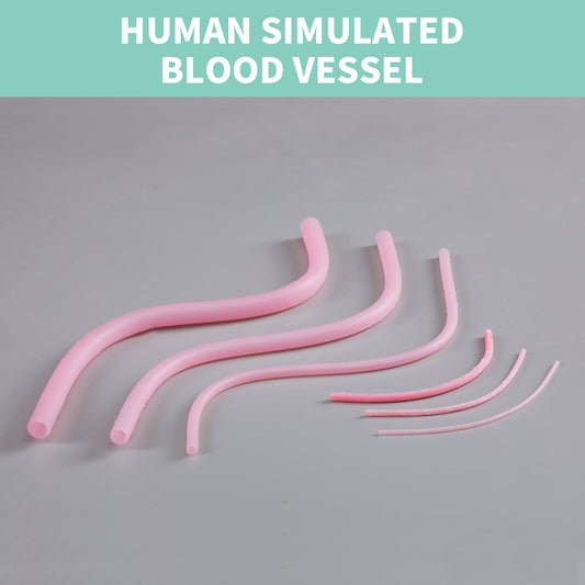 Human simulated blood vessel model EMM-VA
