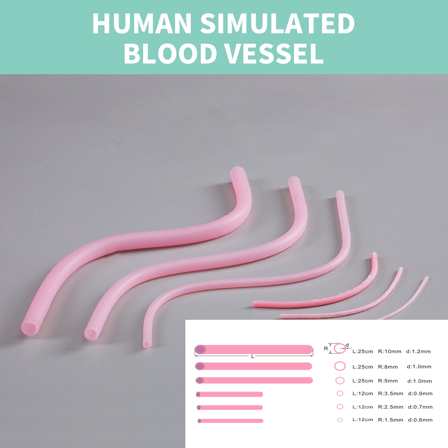 Human simulated blood vessel model EMM-VA