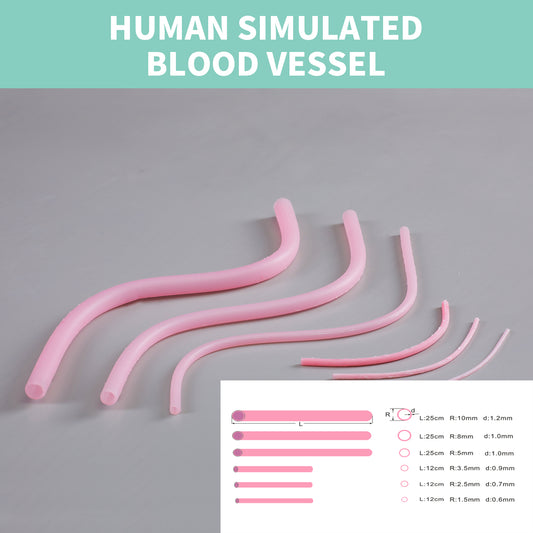 Human simulated blood vessel model EMM-VA