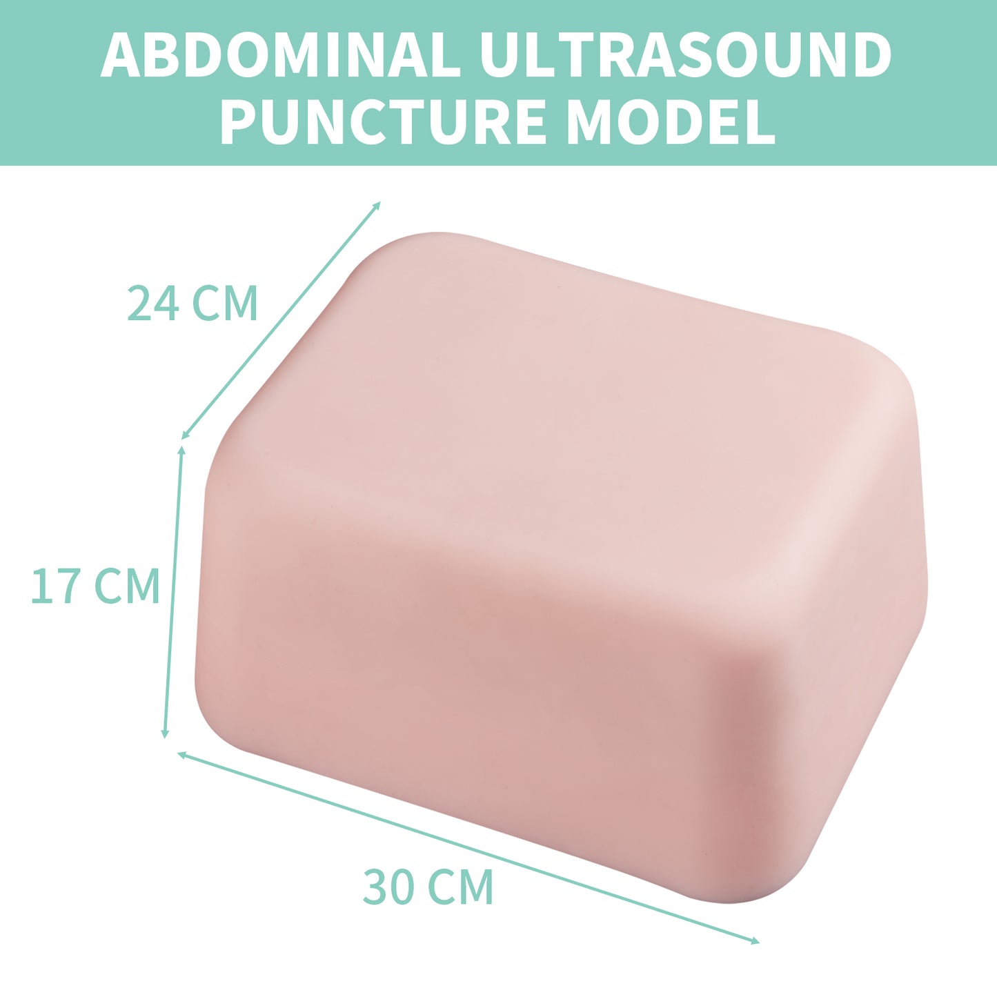 SZEMENTMD Abdominal Ultrasound Puncture Model EMM-FA1