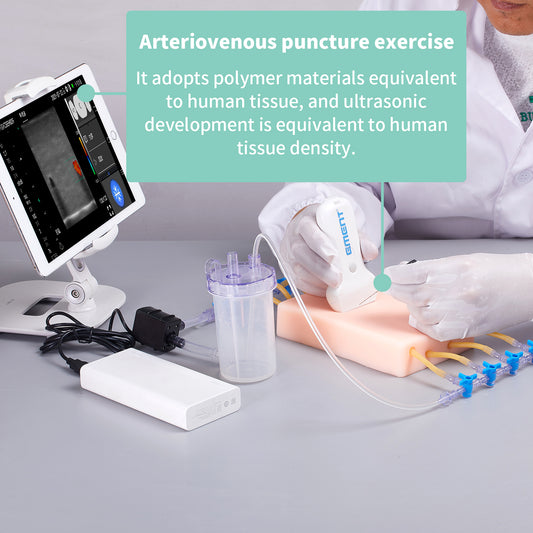 SZEMENTMD PICC Catheterization Vascular Puncture Model EMM-VA